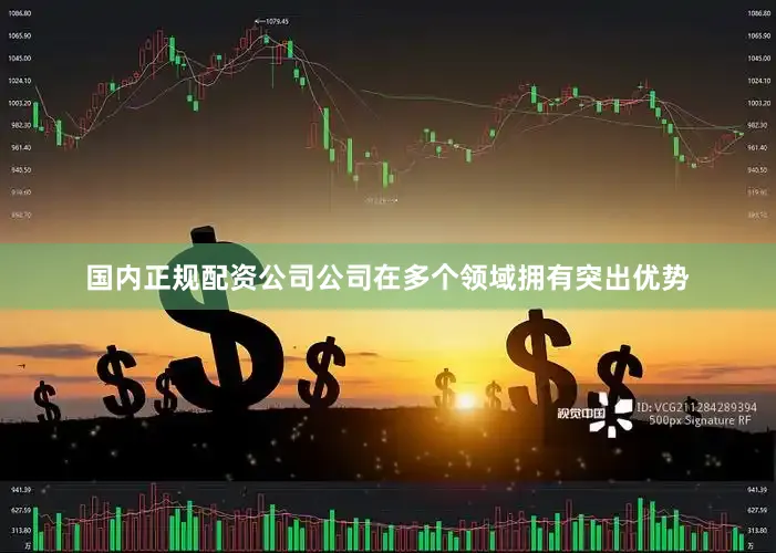 国内正规配资公司公司在多个领域拥有突出优势
