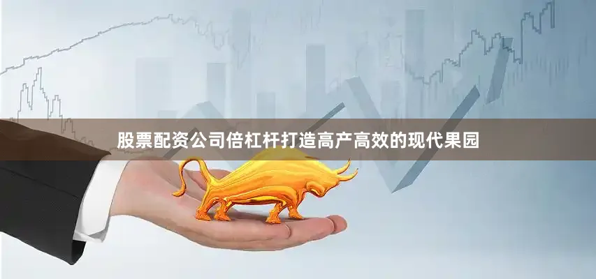 股票配资公司倍杠杆打造高产高效的现代果园